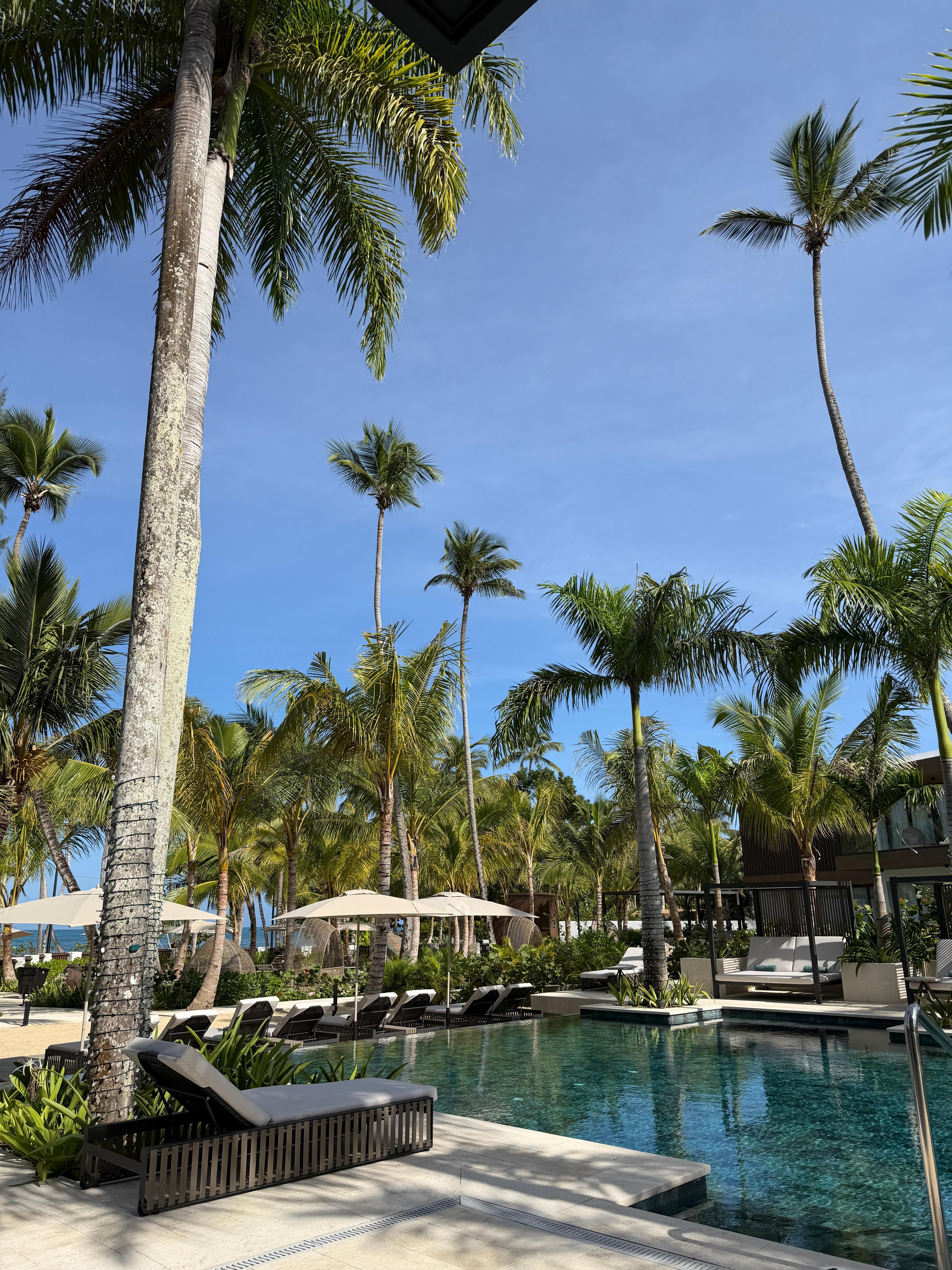 View from restaurant