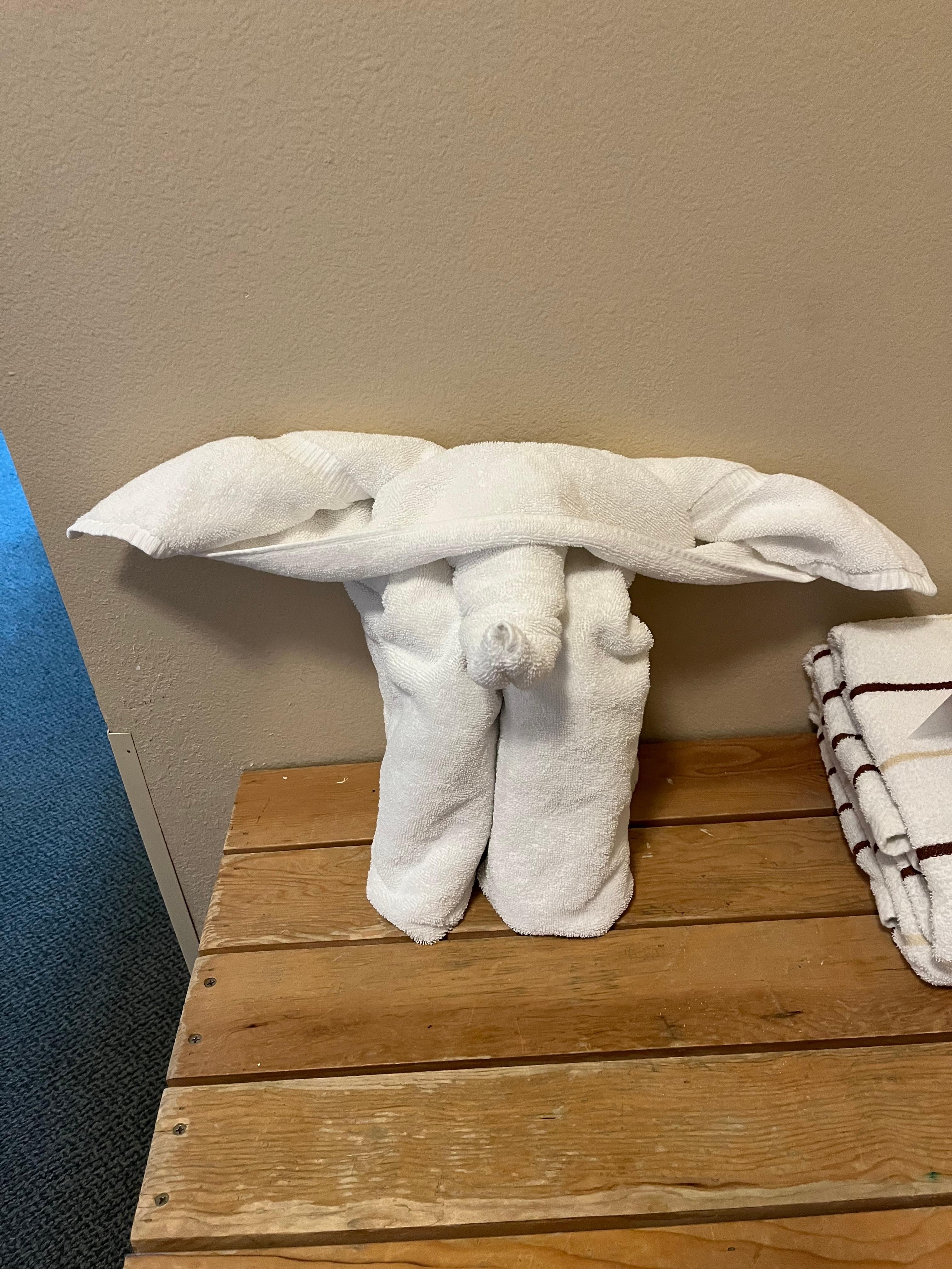 Mammoth towel fold :)