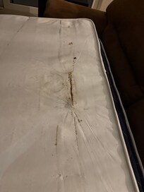 Sofa bed dirty no sheets were available