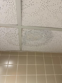 Water damage, and peeling wallpaper