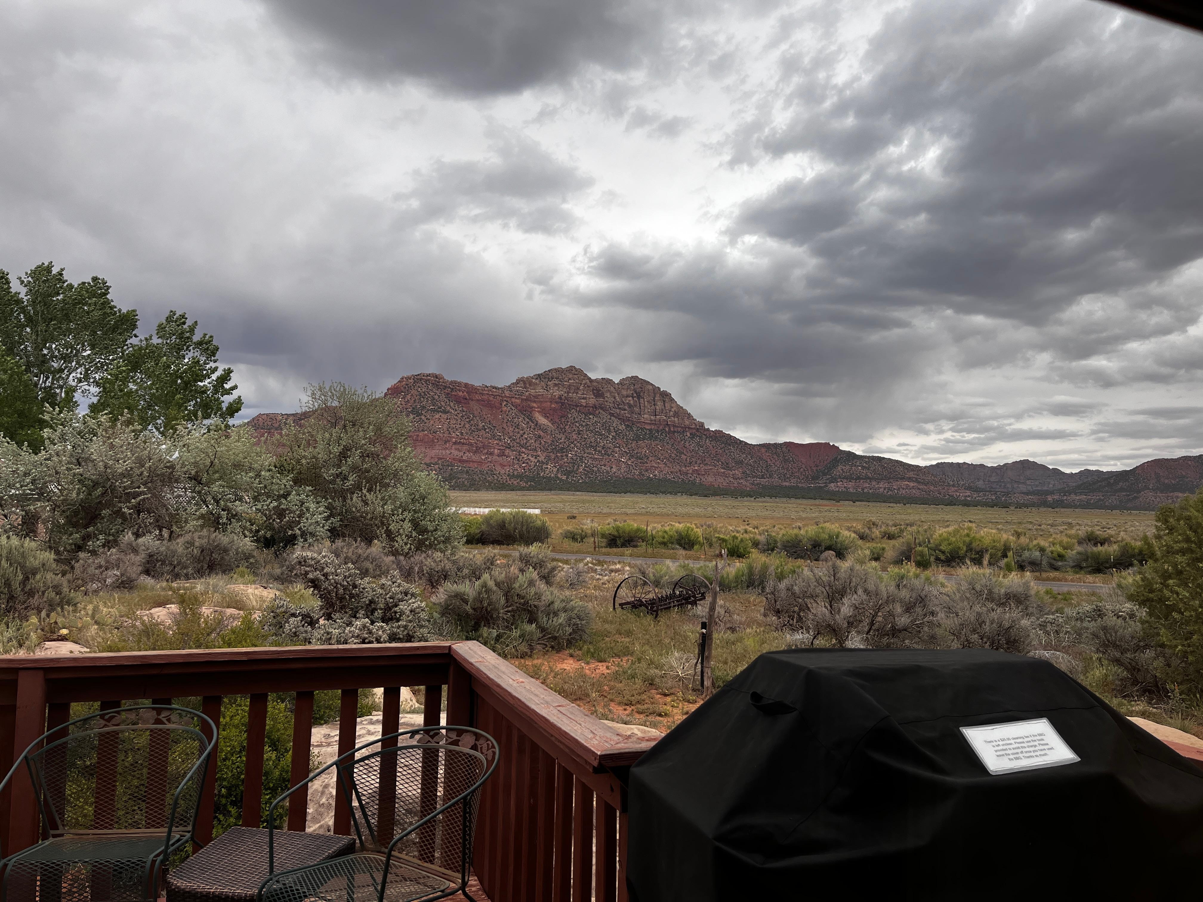 A look out the porch windows