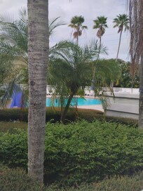 Pool area