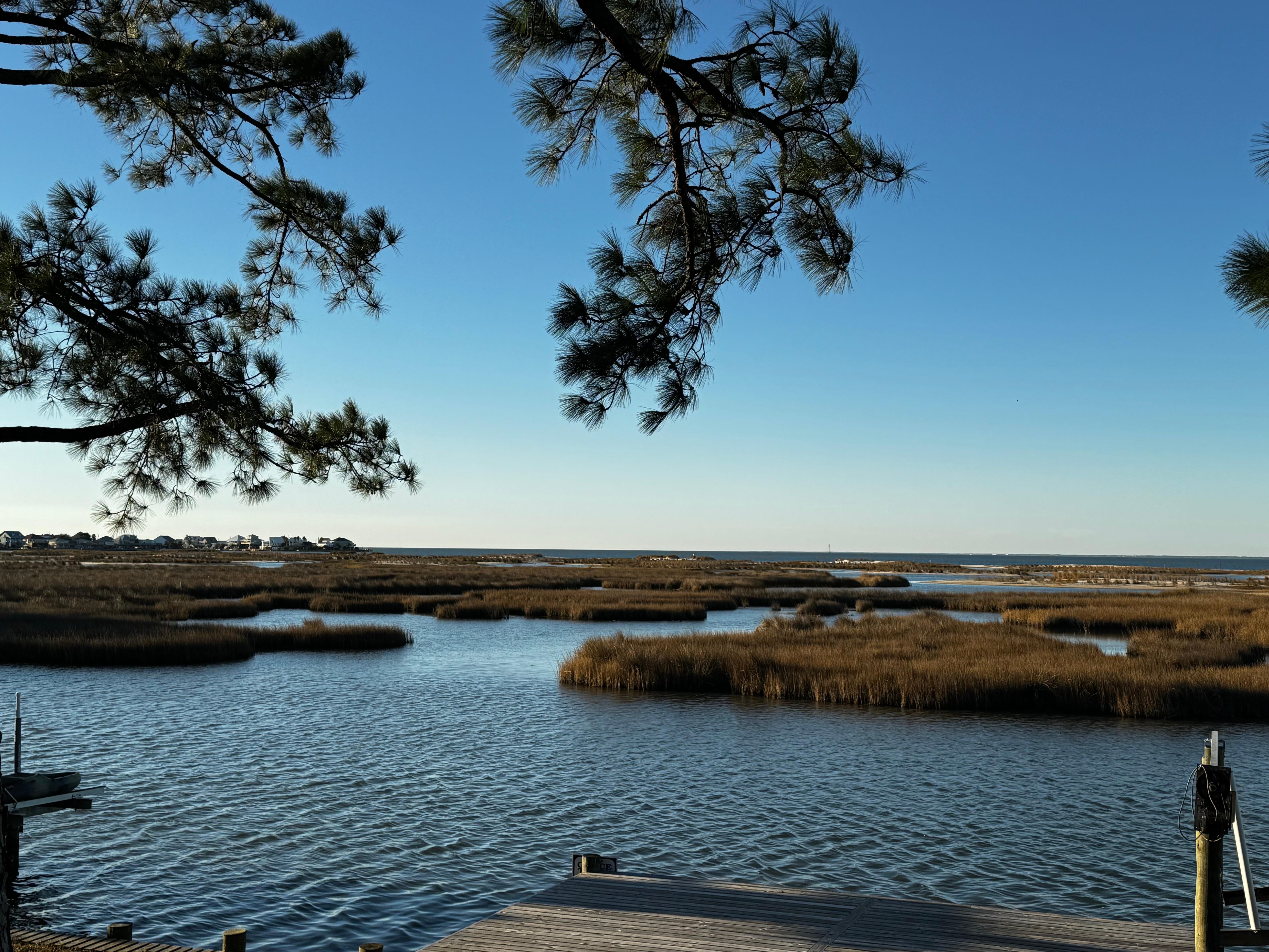 View from the back. Very relaxing!