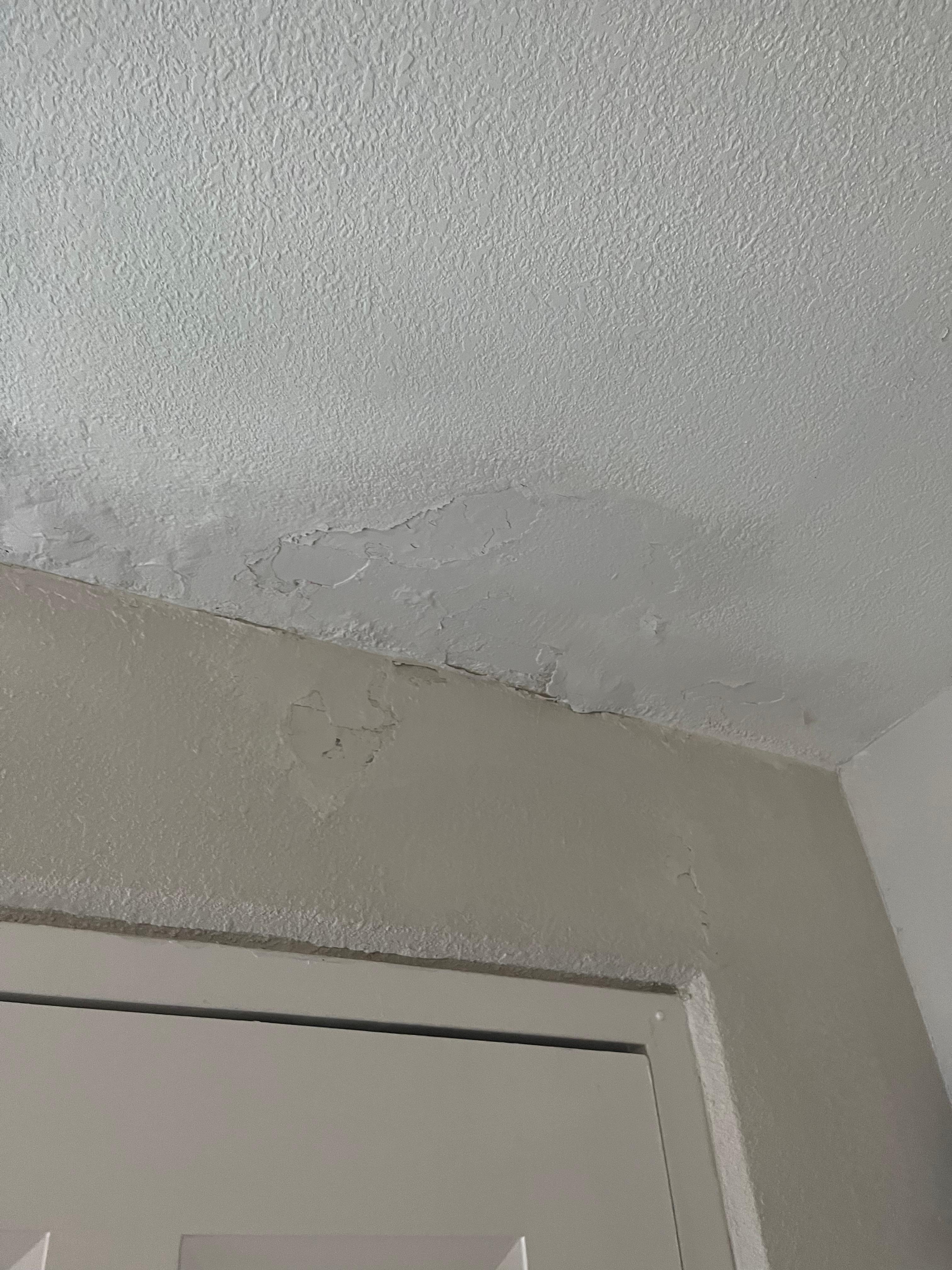 Moldy, humidity on the ceiling 