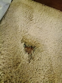 Hole in carpet, so deep they almost fell down the stairs