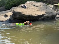 Swimming along the shoreline