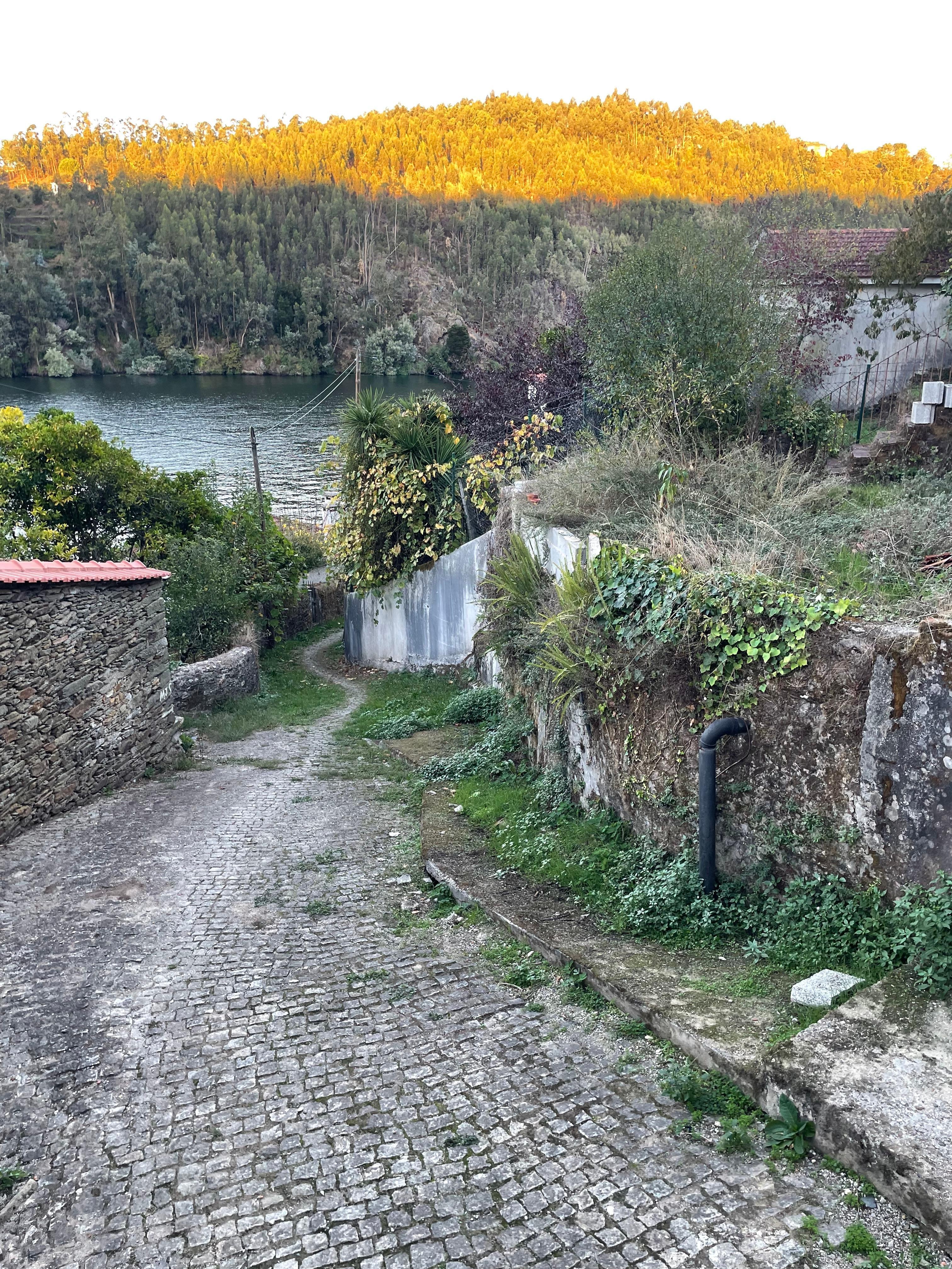 De steile helling naar de haven van Porto Carvoeiro 
