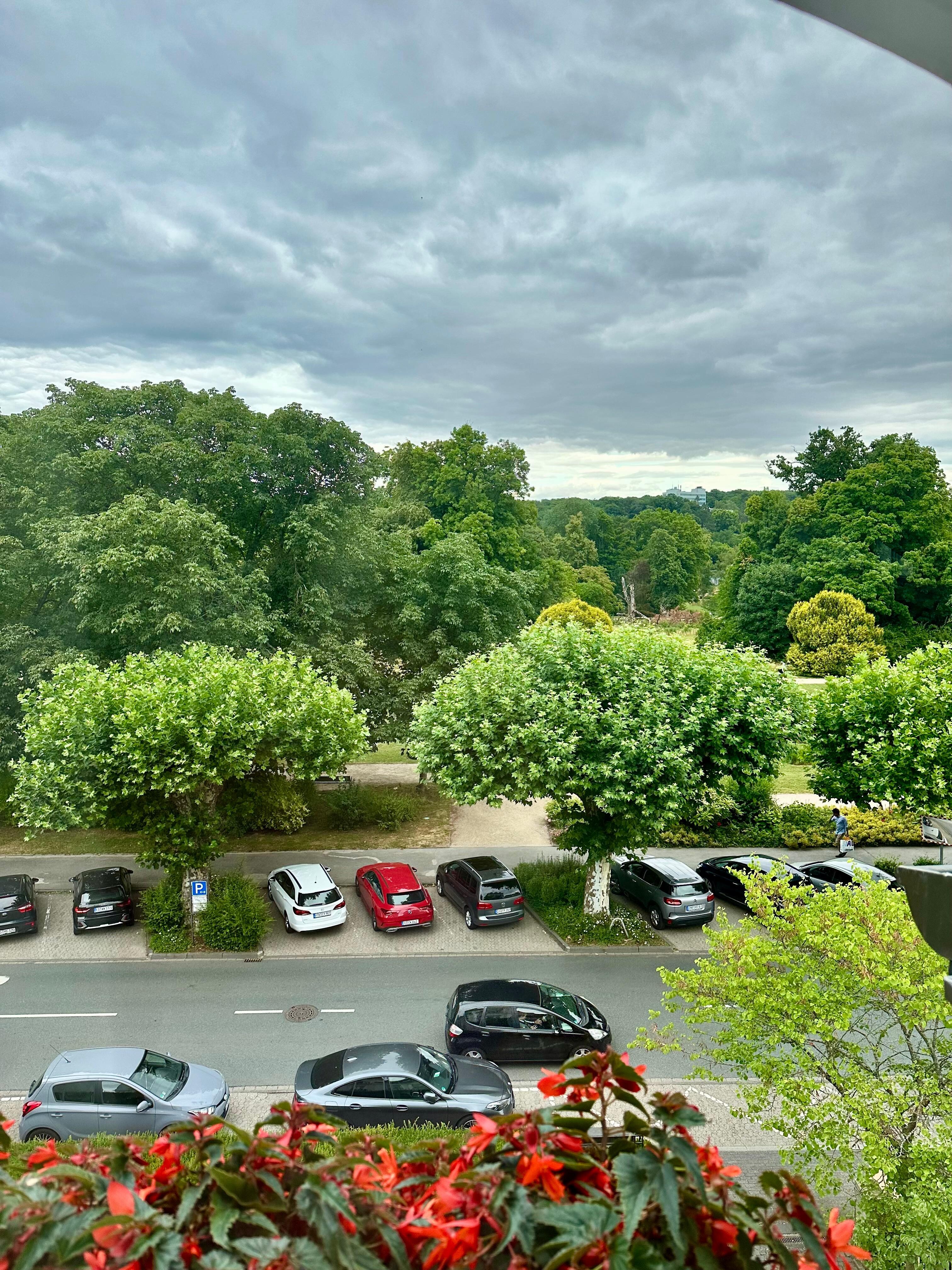 Blick aus dem Zimmer Richtung Kurpark. 