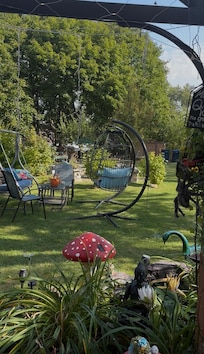 Back yard scenery
