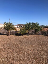 Grass not watered. brown, tough stuble. not good for walking barefoot or laying in the sun.