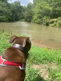 Watching the lazy Little TN river go by