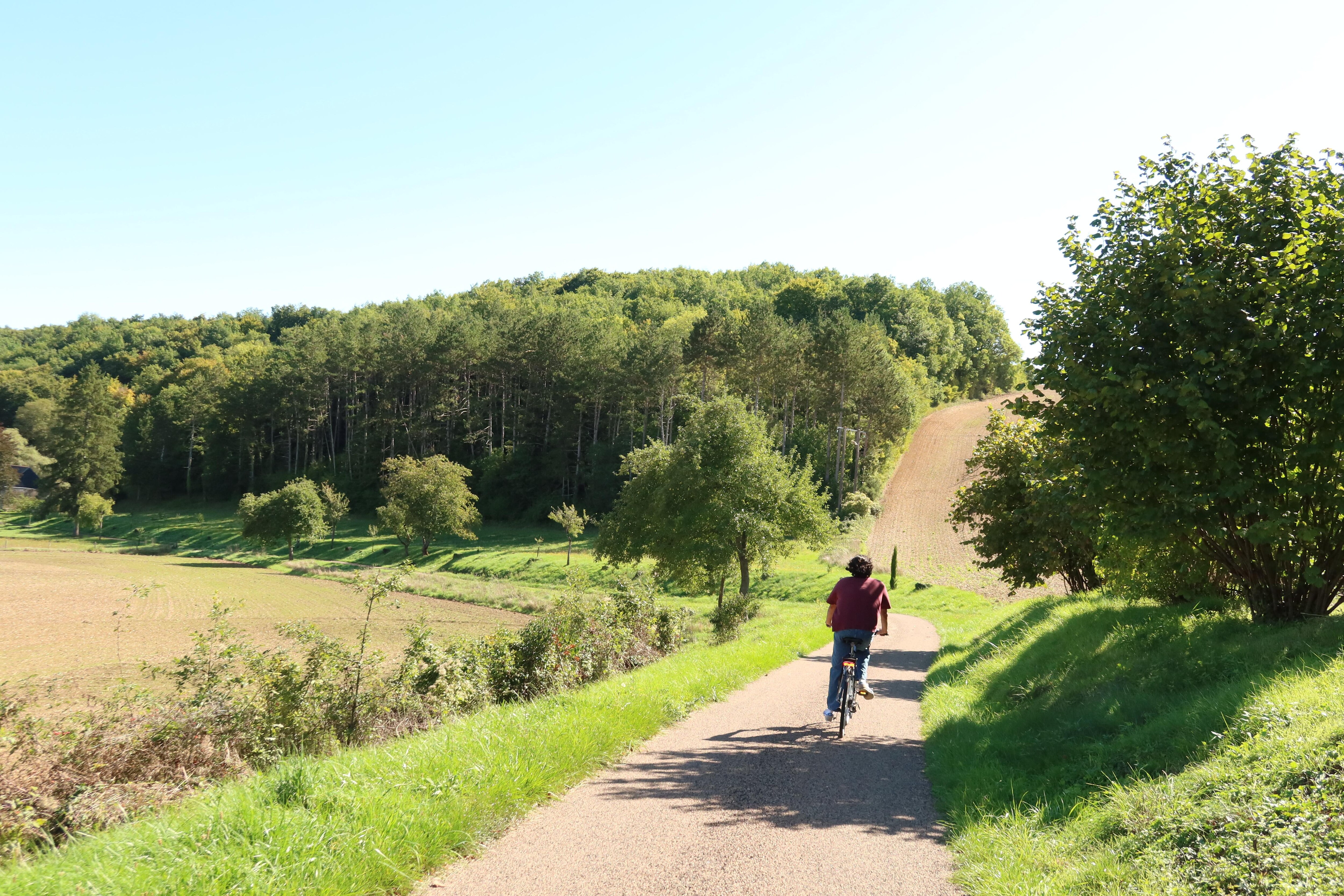 bike ride through the town, bikes courtesy of our host