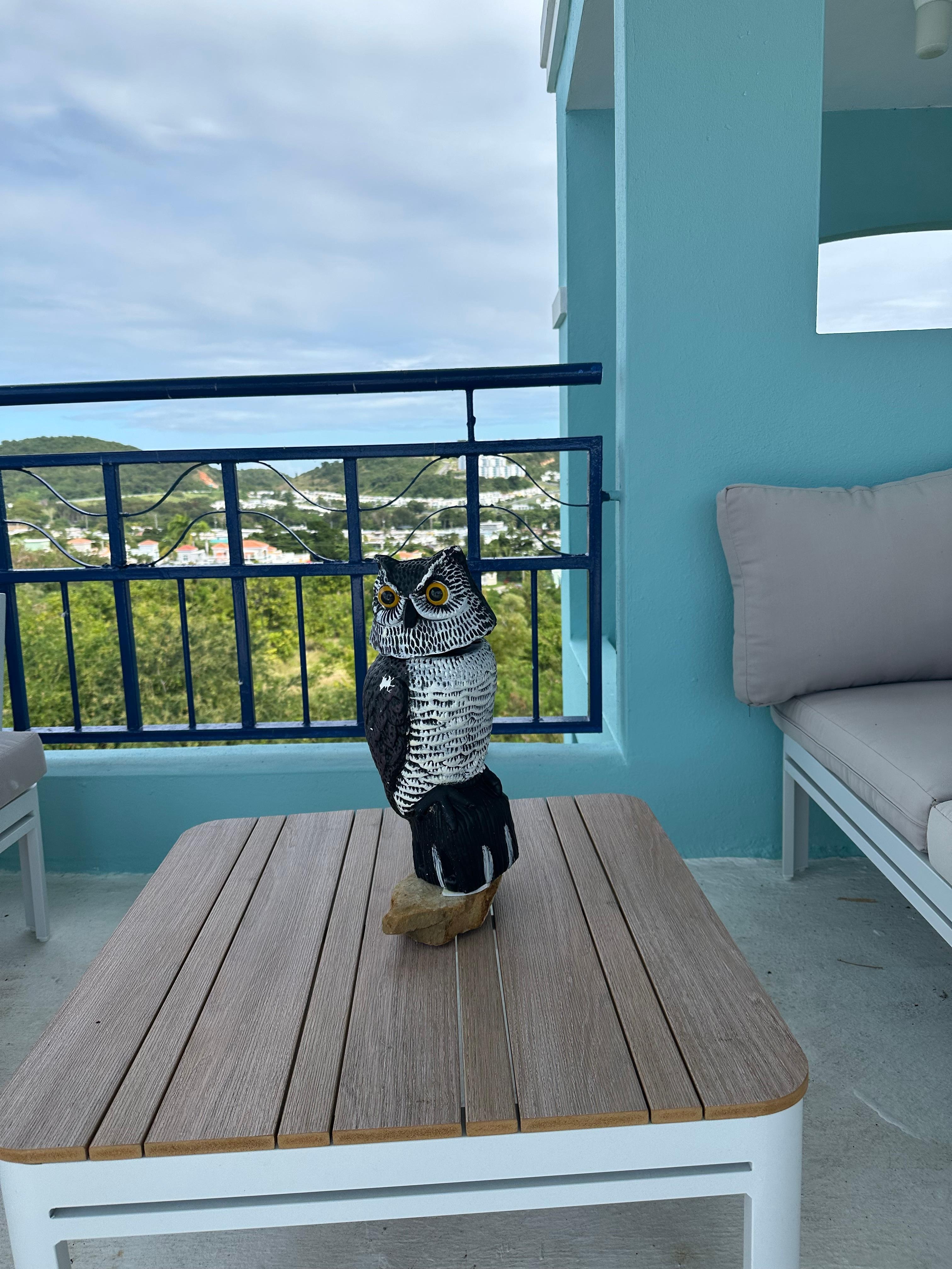 Beautiful rooftop terrace