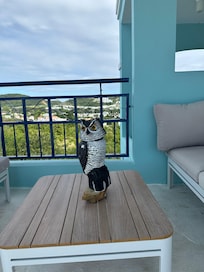 Beautiful rooftop terrace