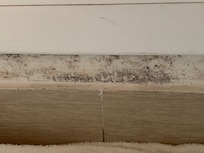 Moisissures sous la fenêtre