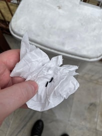 Rat droppings in bed of Room 7