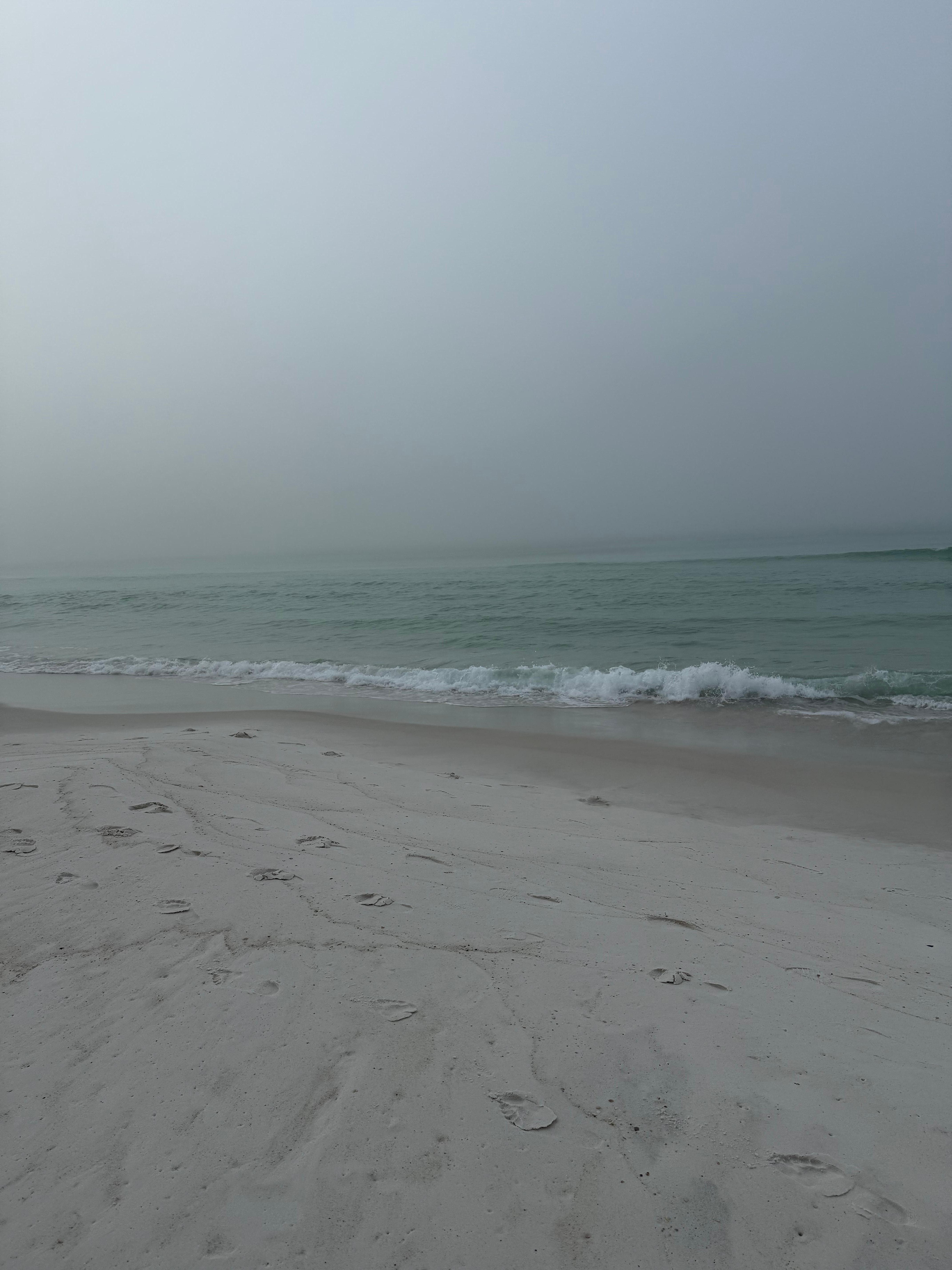 A view from my morning walk on the beach. 