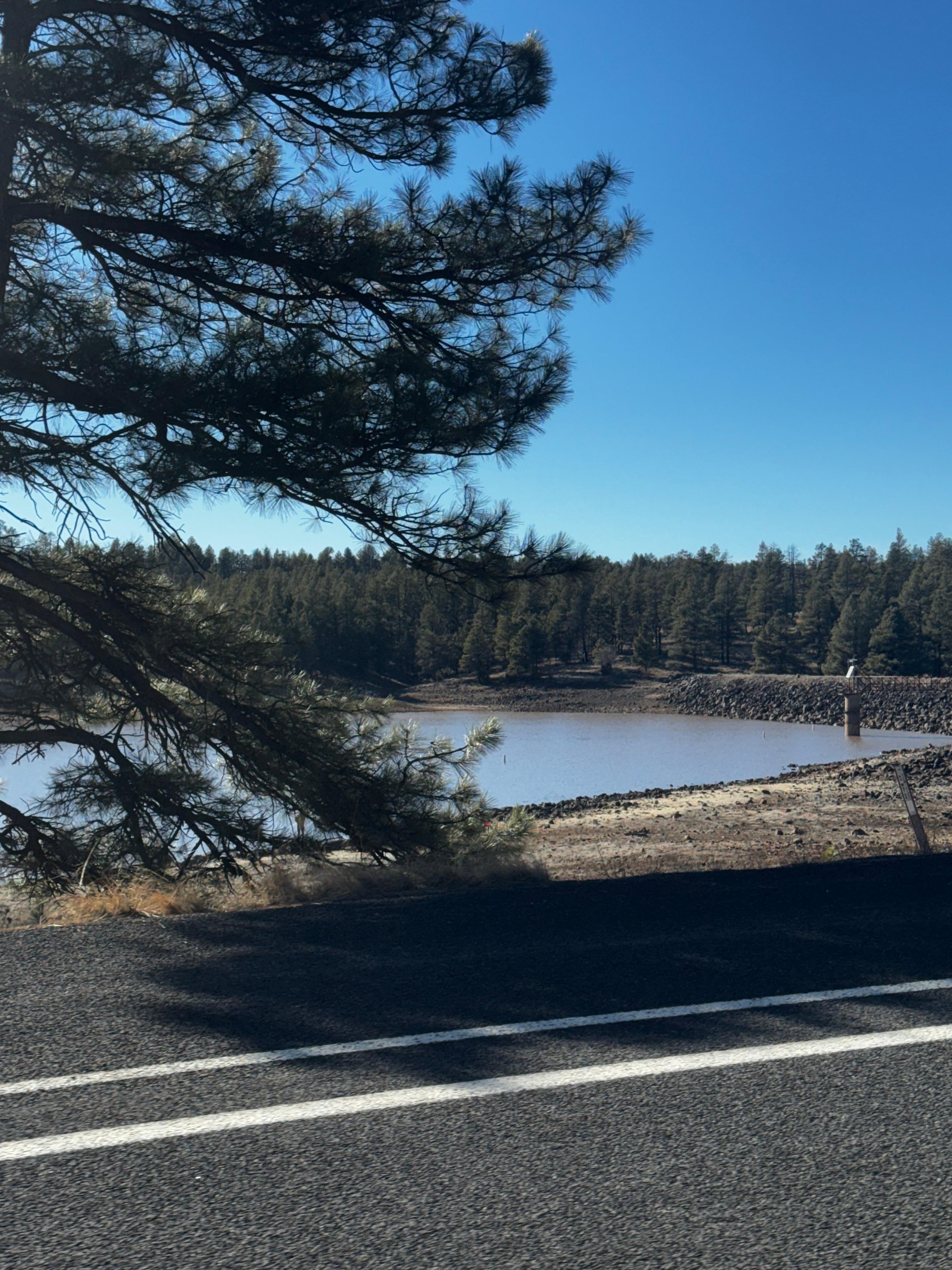 Just down the road, on the bike path