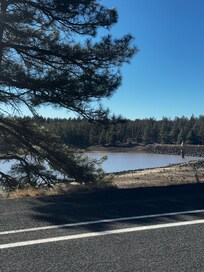 Just down the road, on the bike path