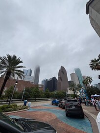 Beautiful view outside the aquarium