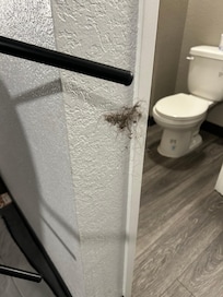 Not a clean room. Floor was swept but not thoroughly, and not mopped.