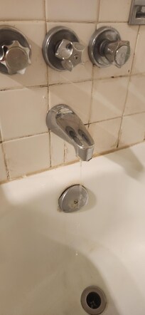 Bathroom tap ran constantly