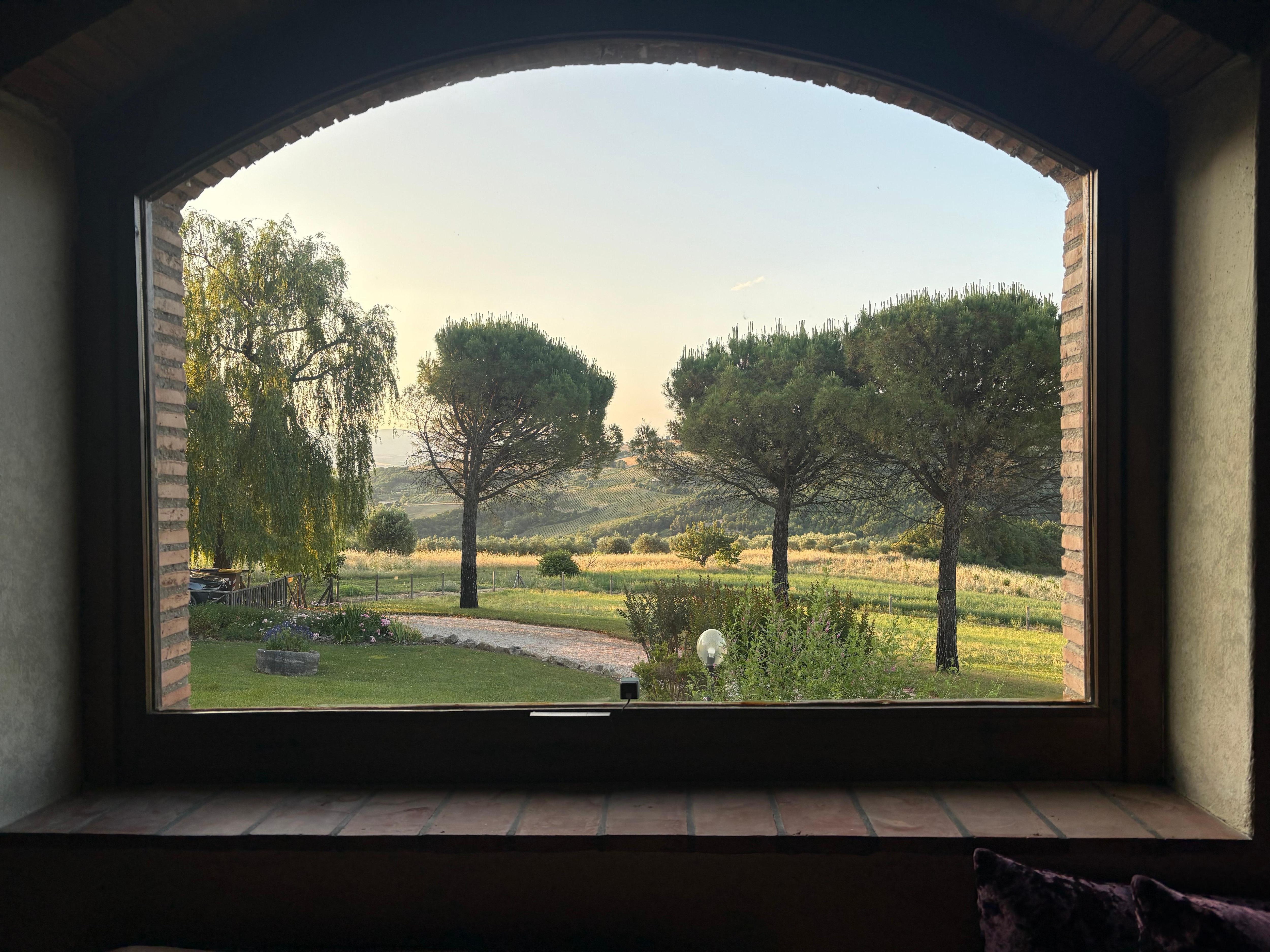 View from the great  room window 