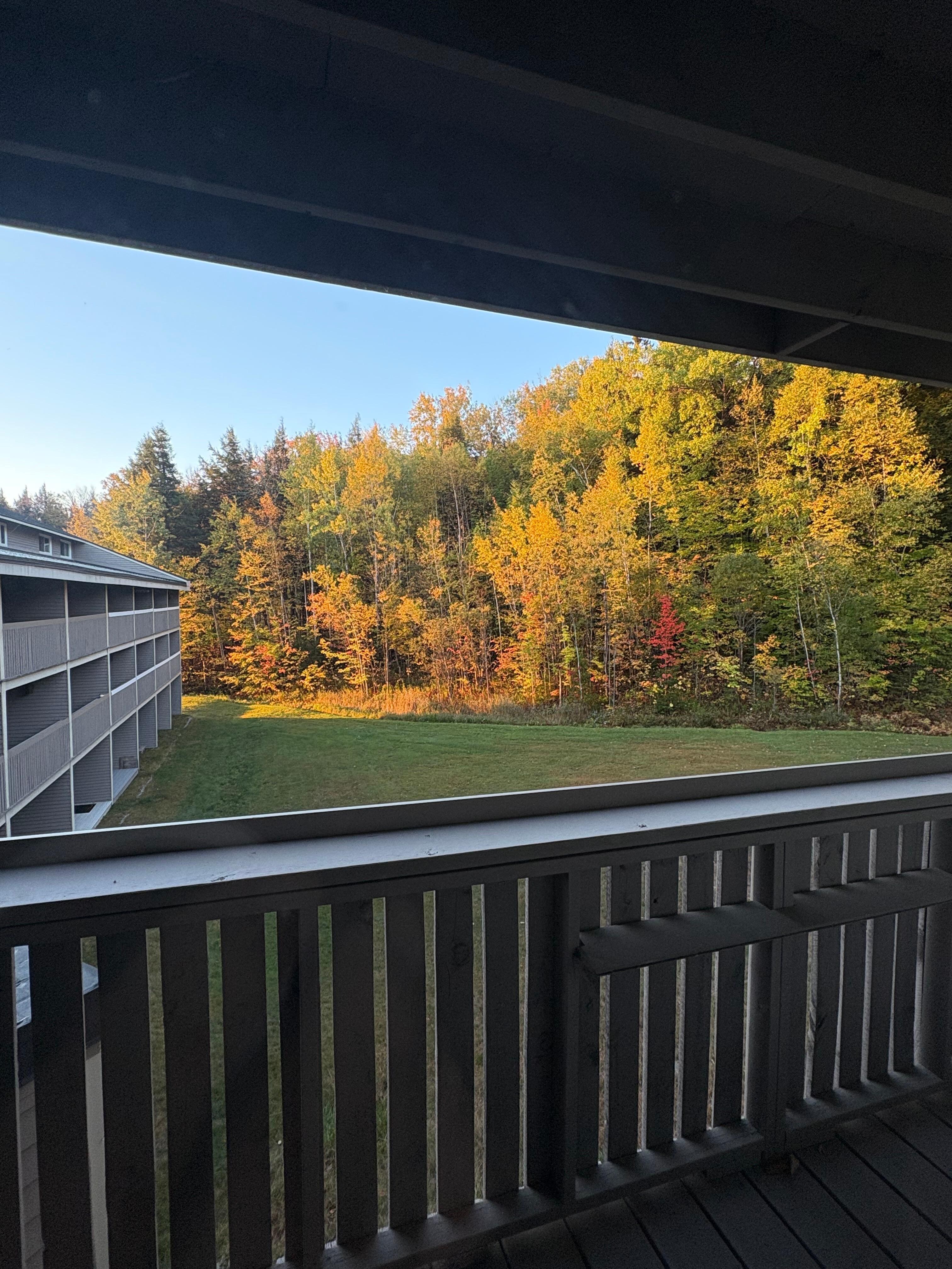 View from the balcony 