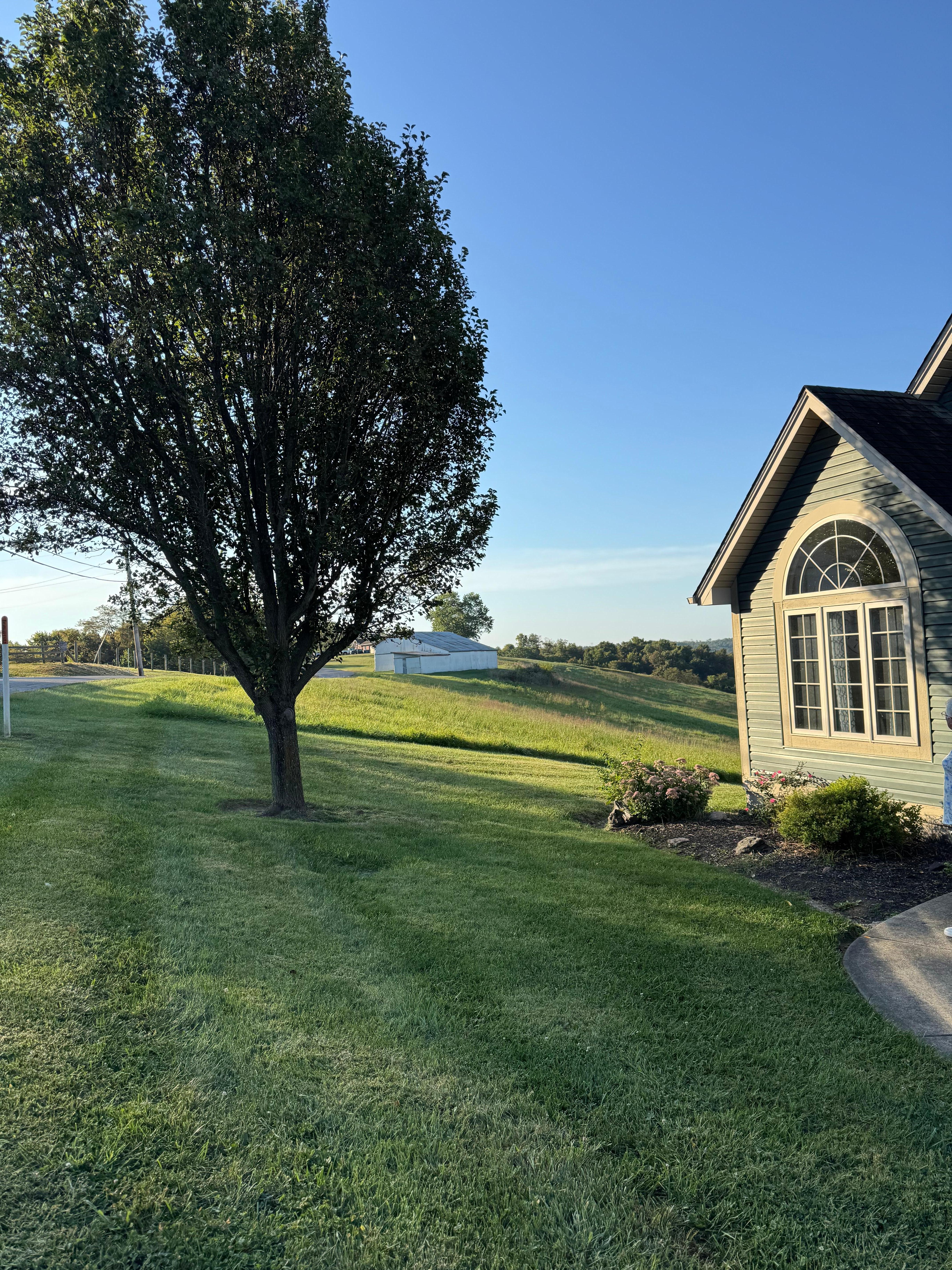 Beautiful yard and view