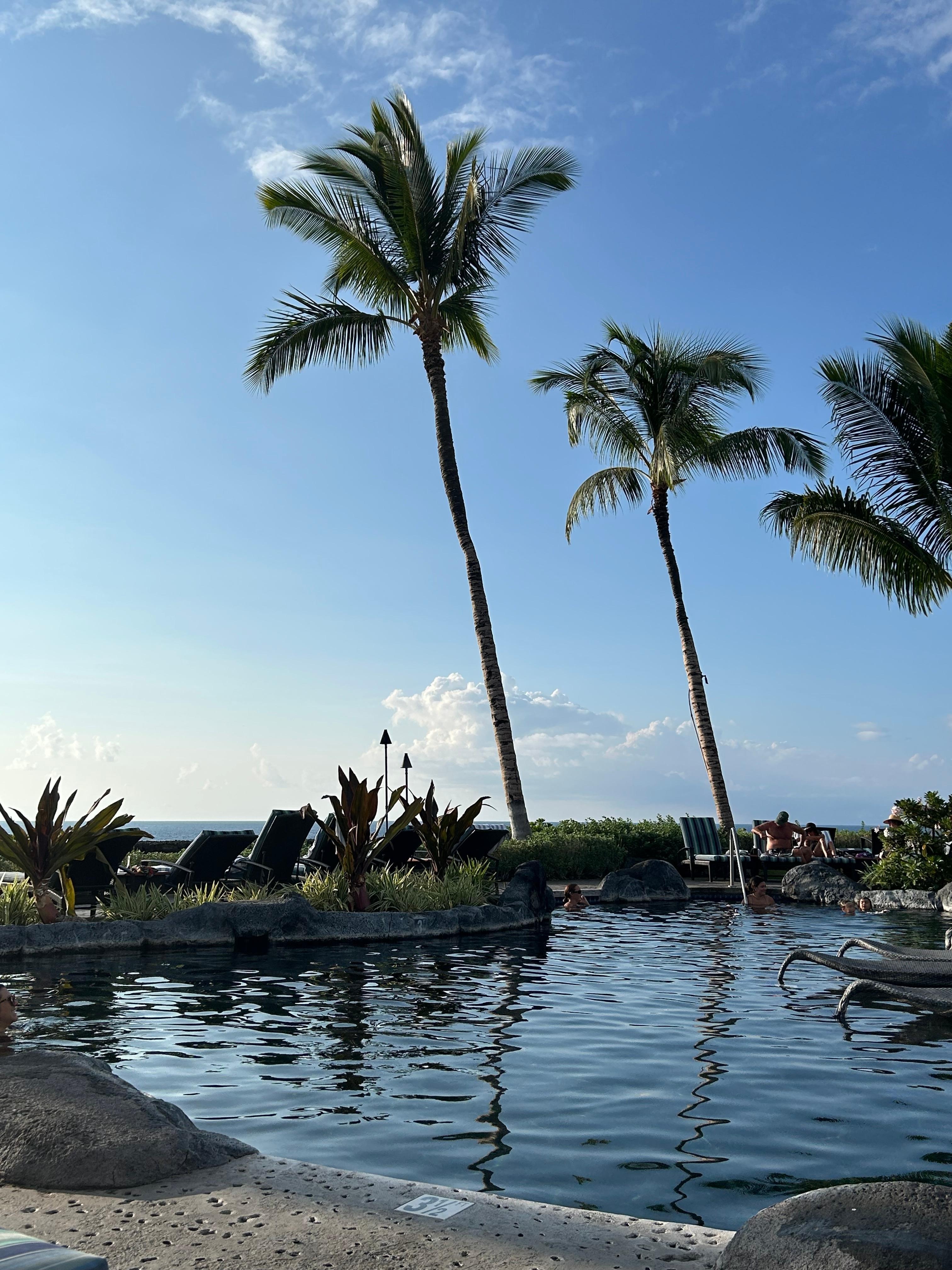 View of the Pool Area