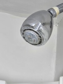Mold on shower head