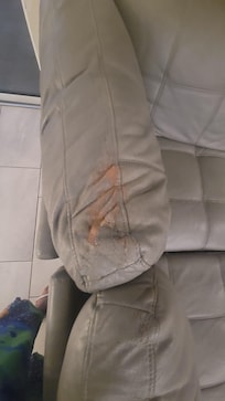 Tattered living room sofa