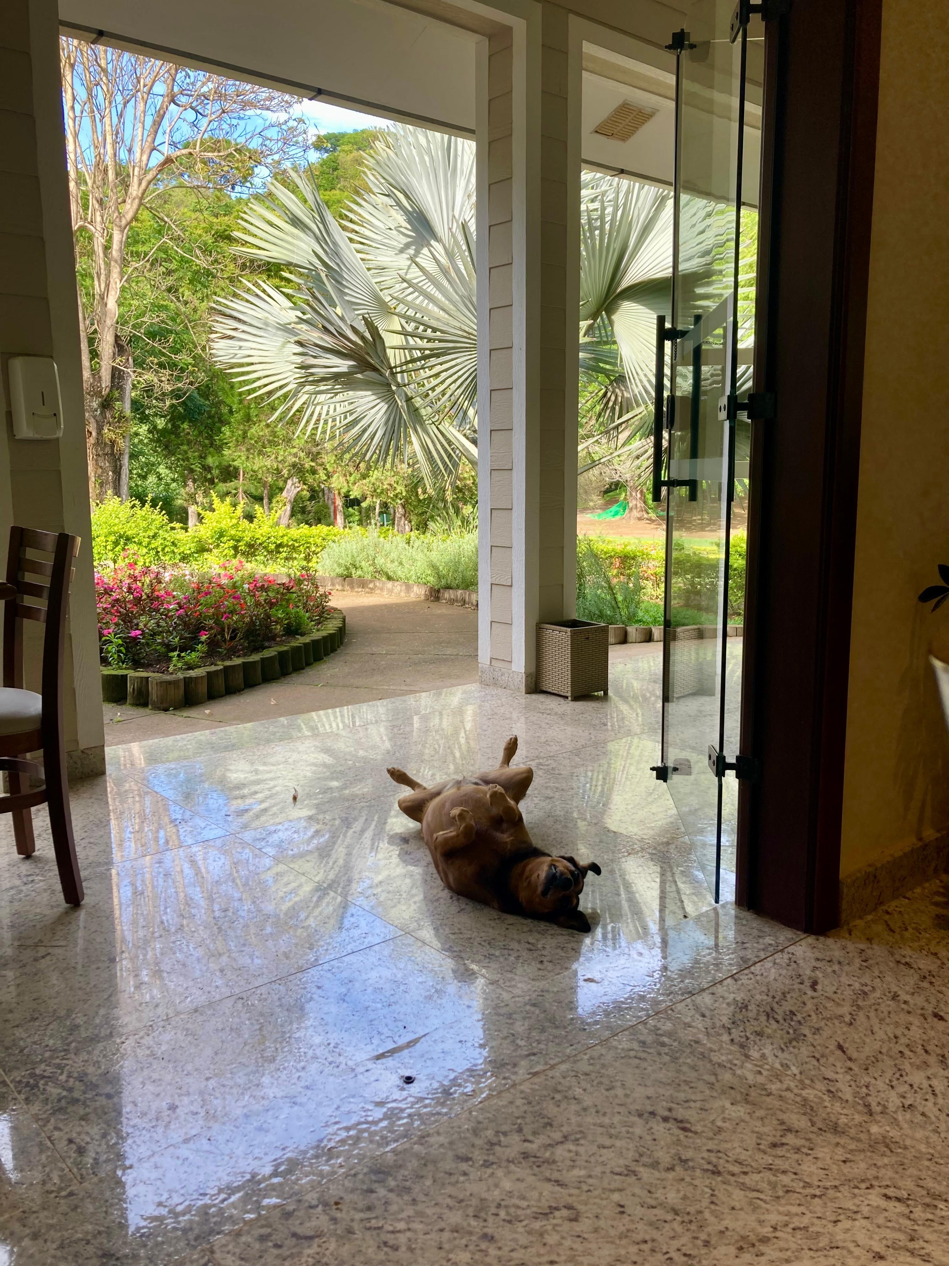 Nina recebendo os hóspedes para o café da manhã.