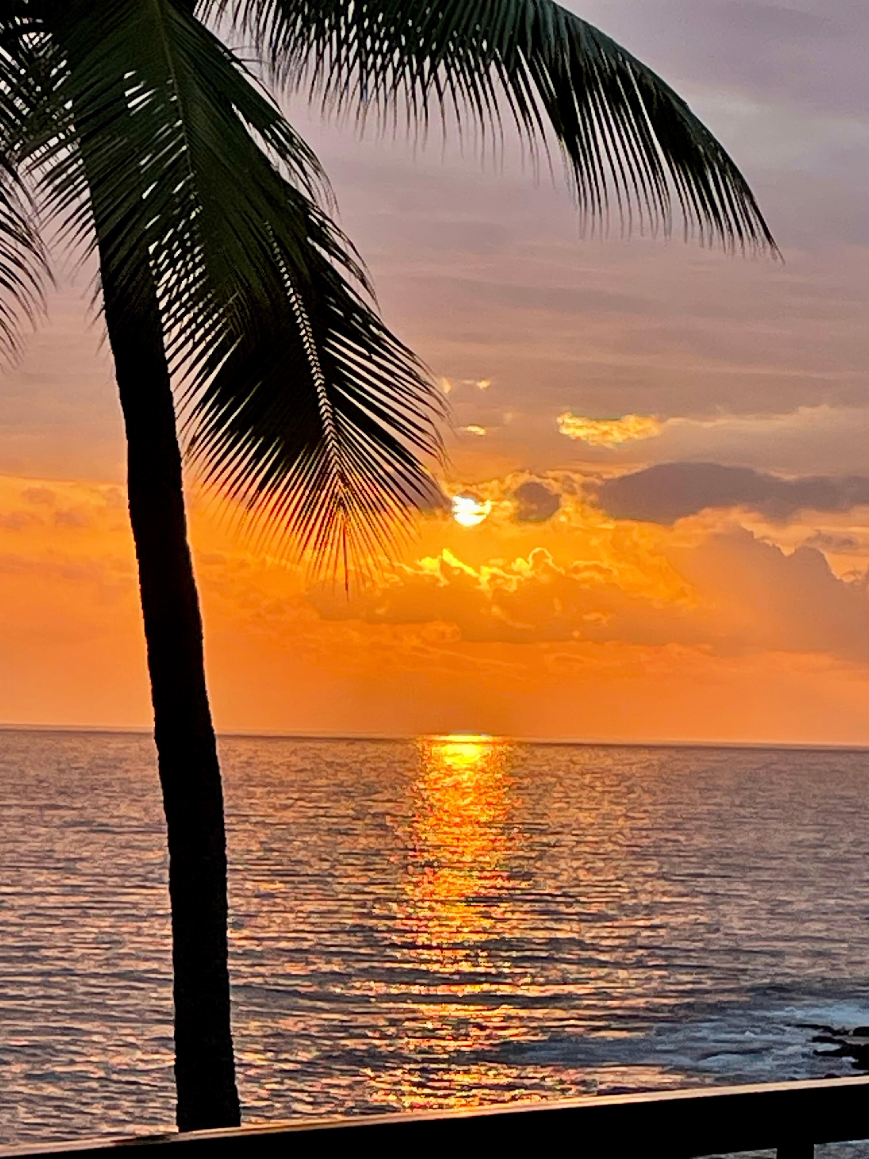 Awesome sunset views