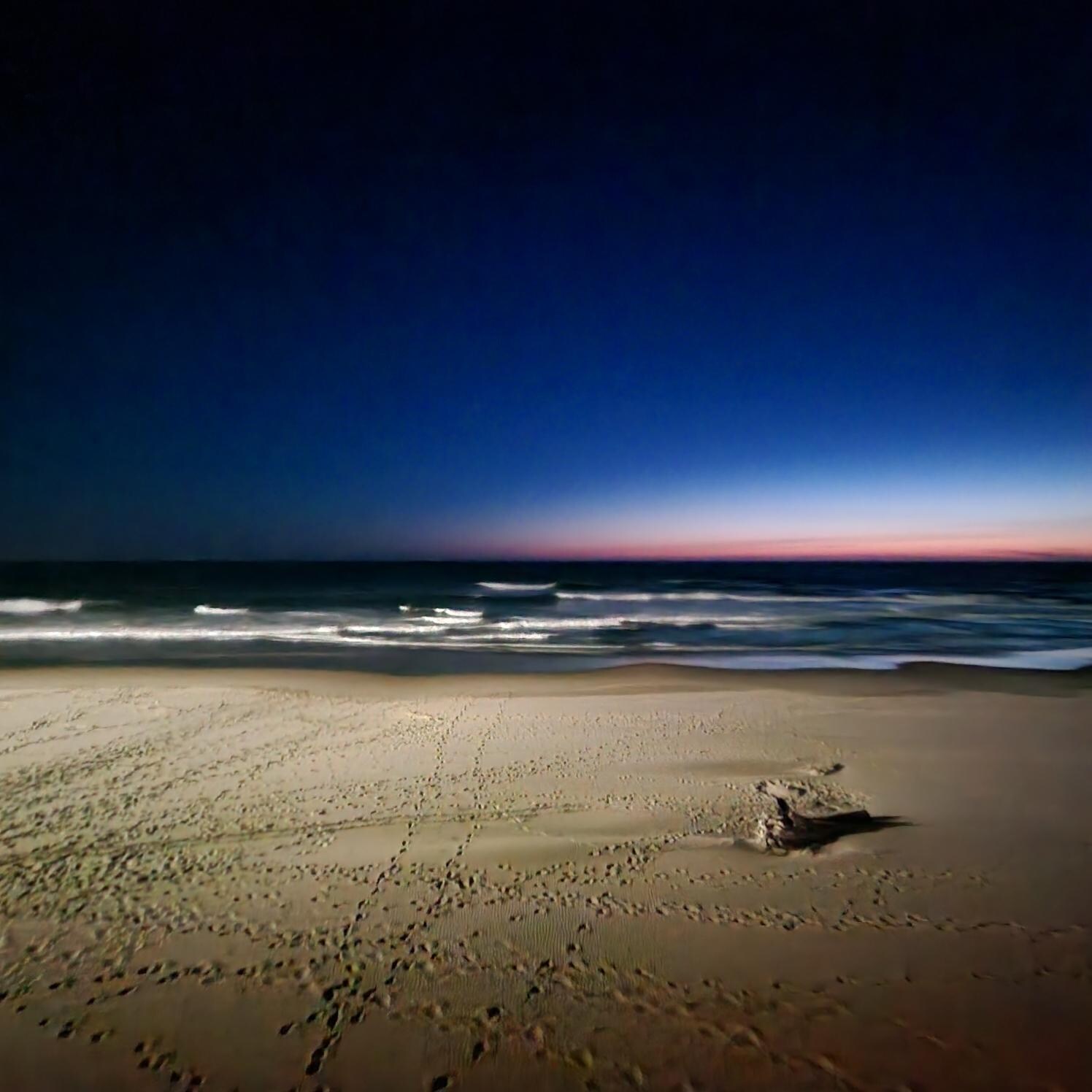 Nice lights in the beach at night. 