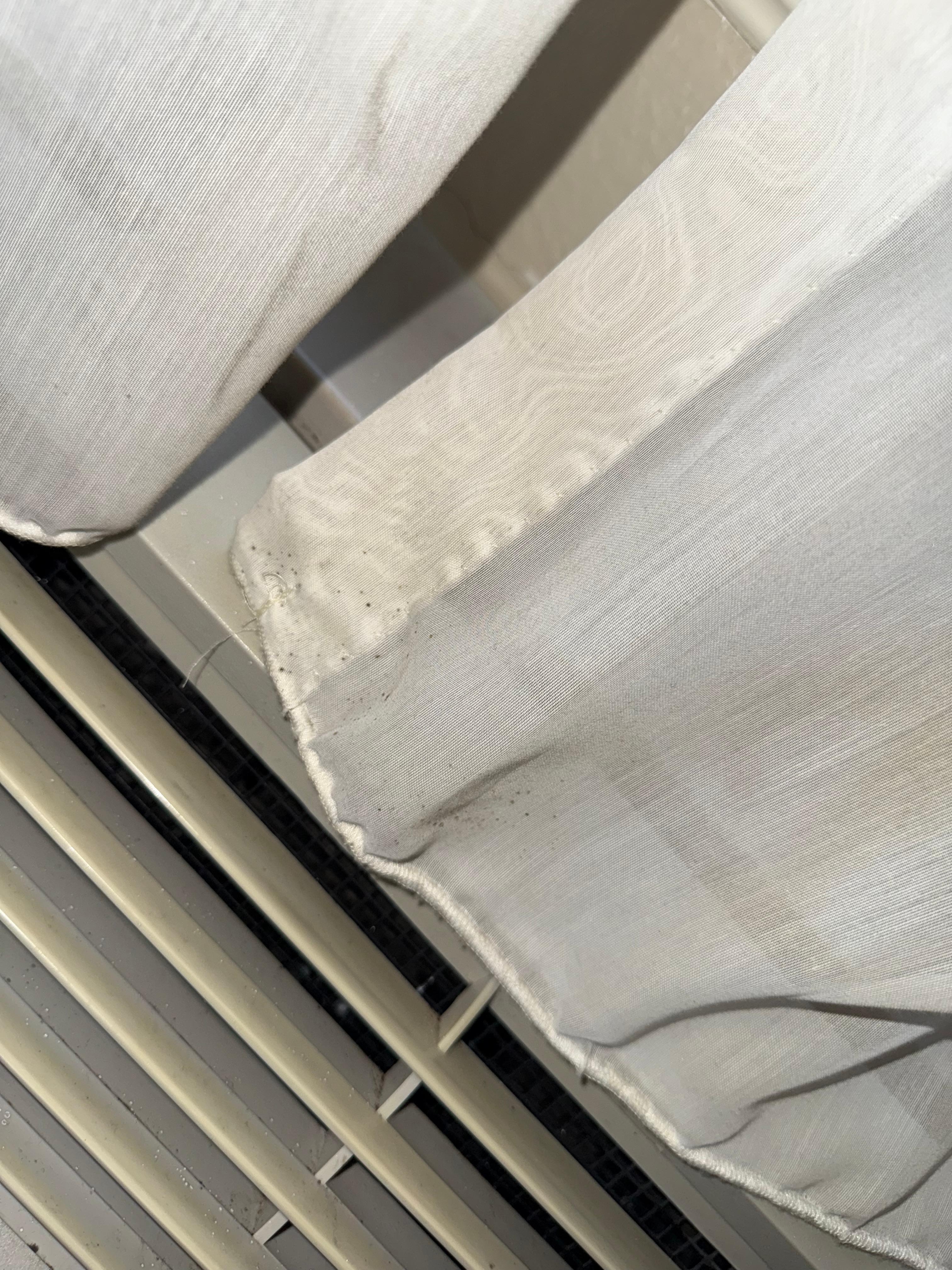 This is the mold on the curtains.