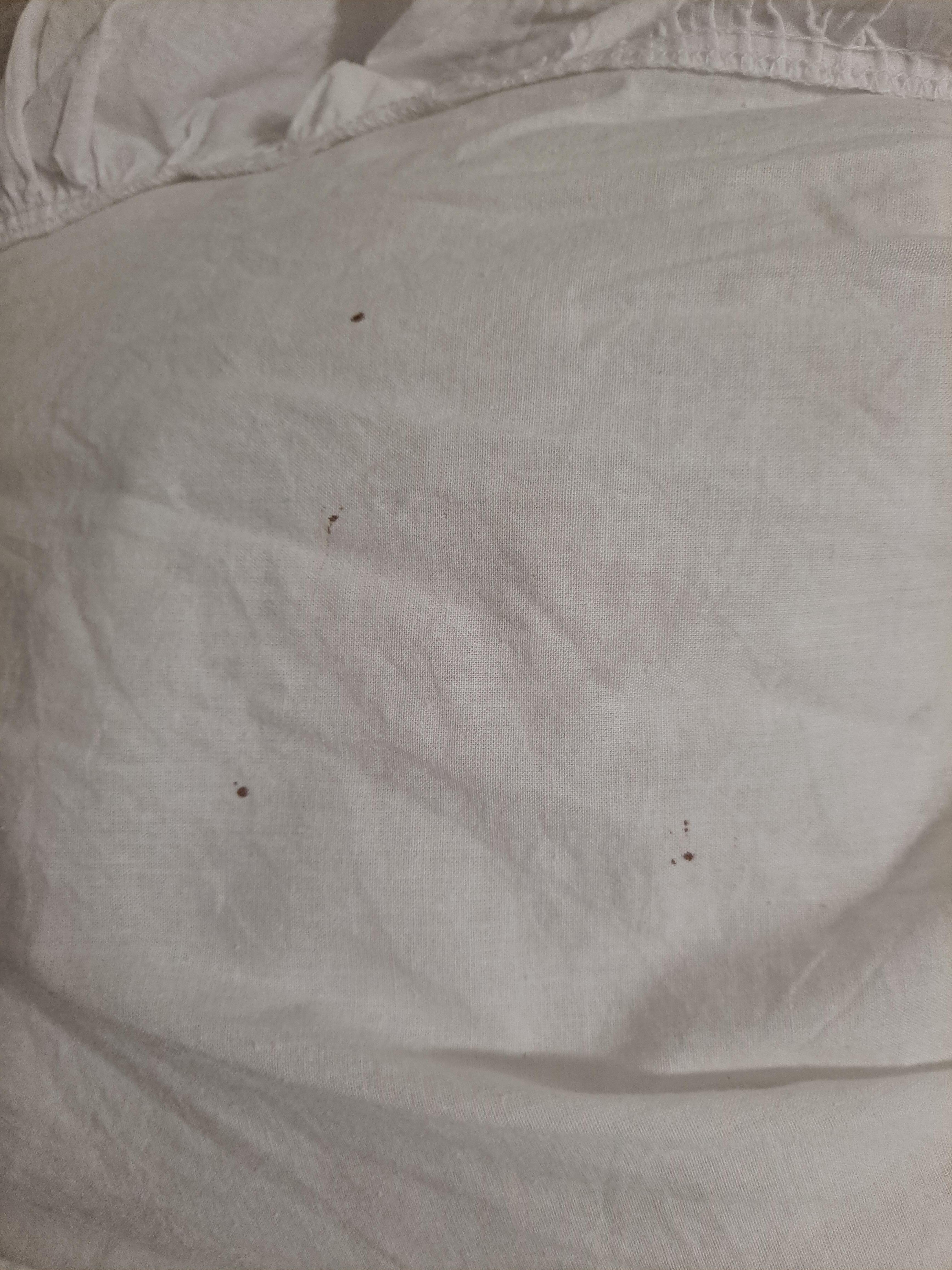 Doona cover on first getting into the bed.