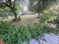 Overgrown plantings not as advertised