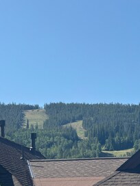 Views from the patio