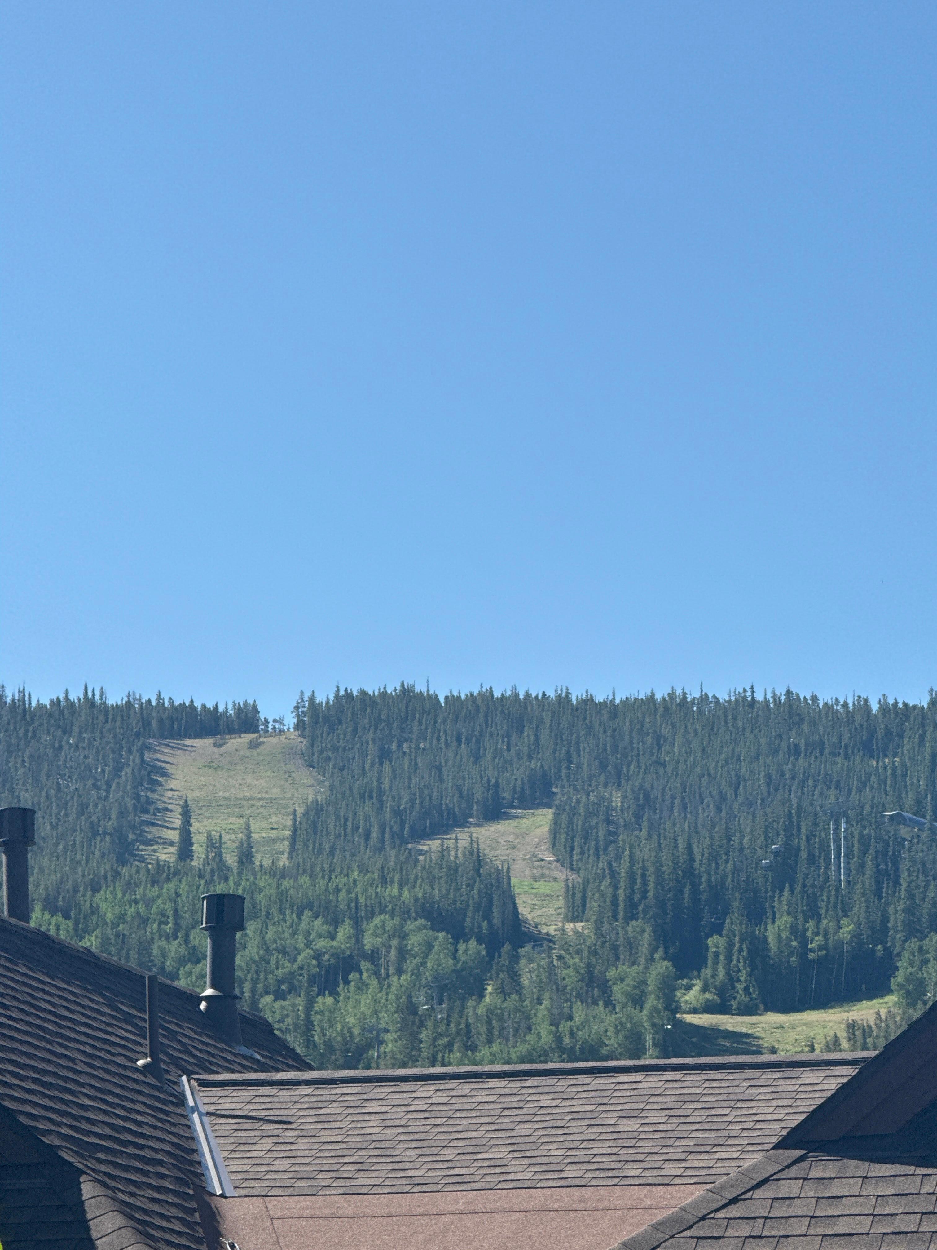 Views from the patio