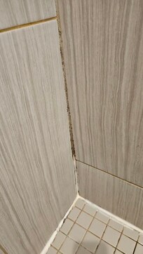 Mold