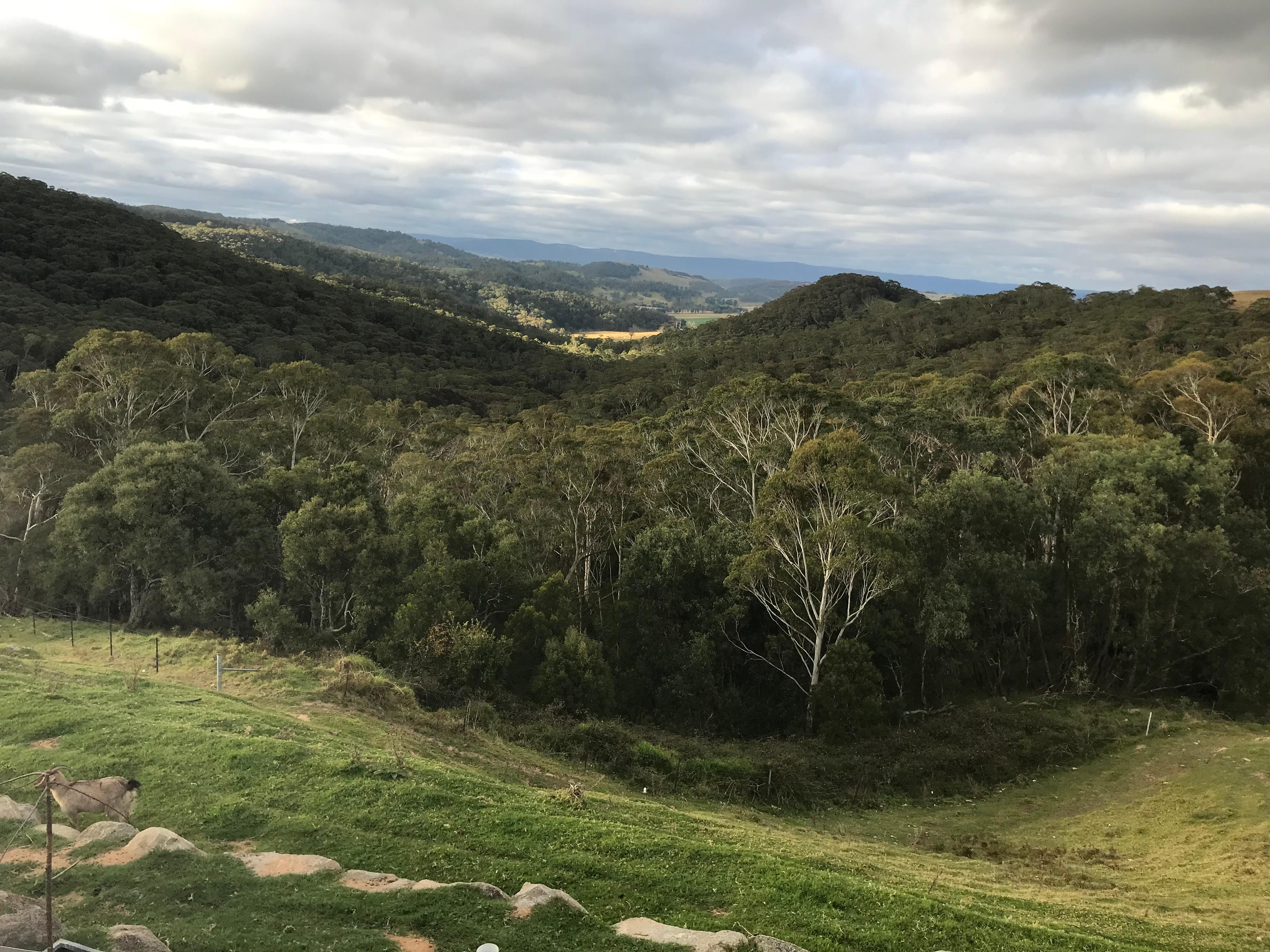 View from balcony