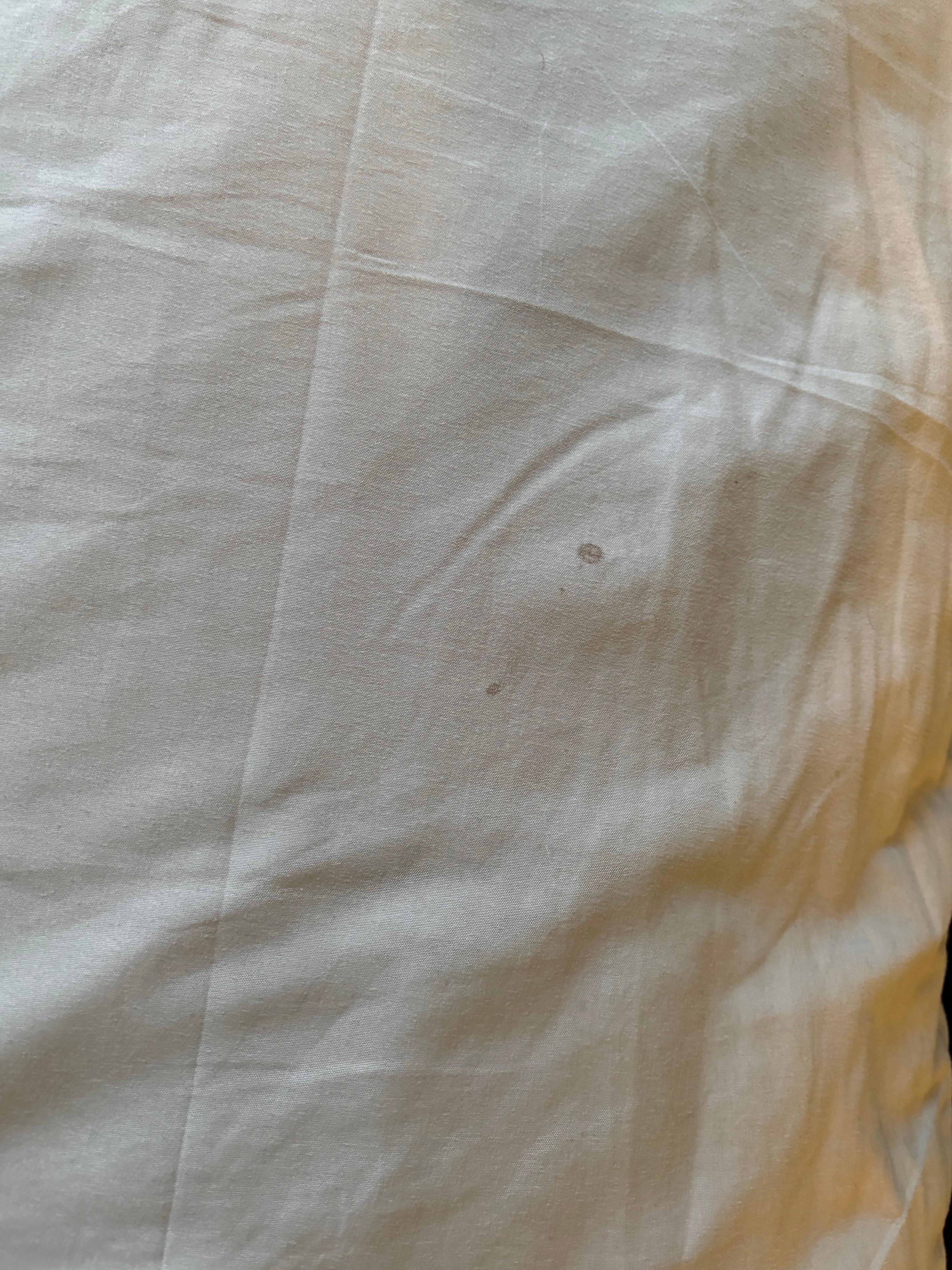 spots (blood?) on pillow