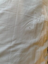 spots (blood?) on pillow