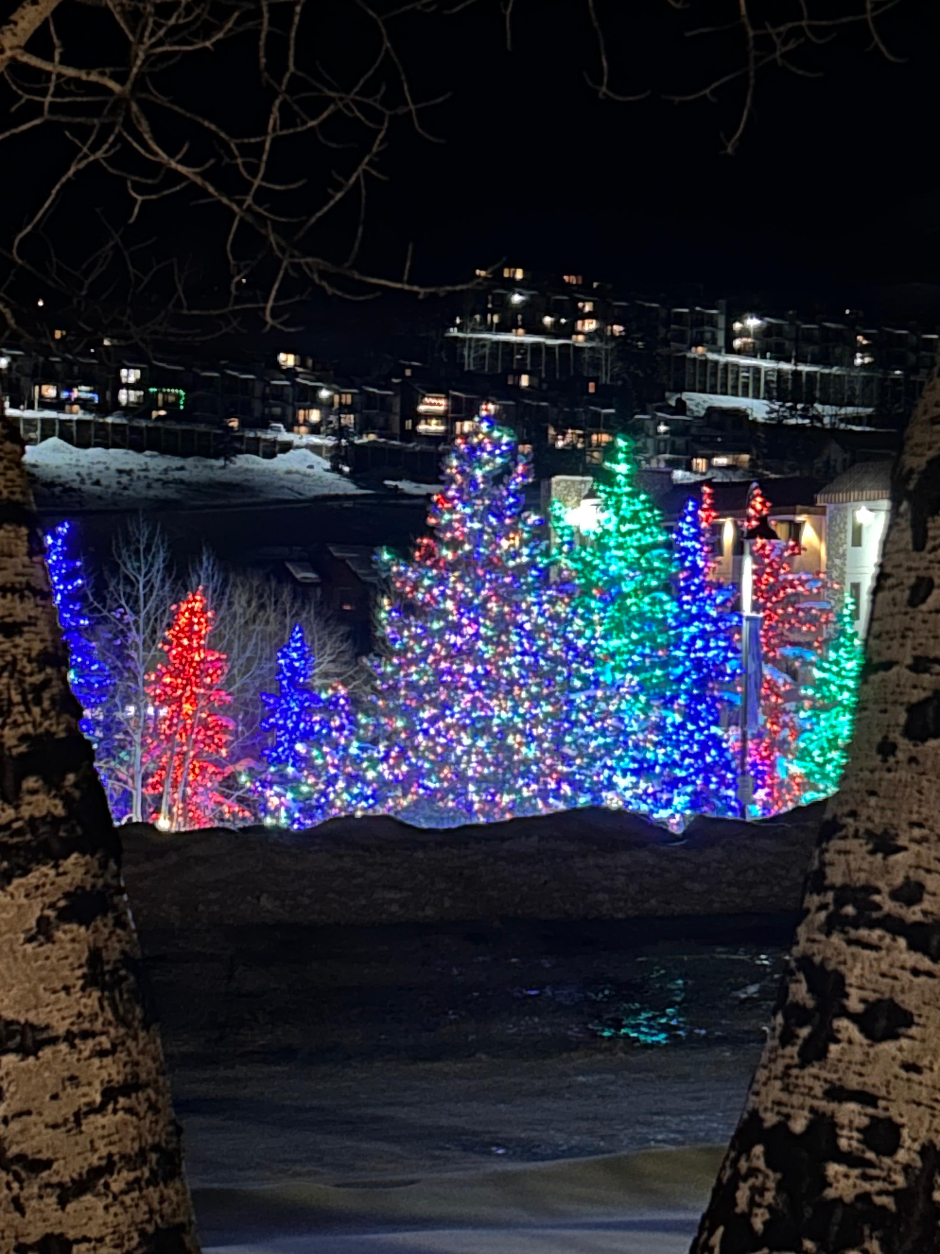 View from kitchen balcony. 