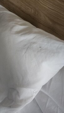 Hair on pillow