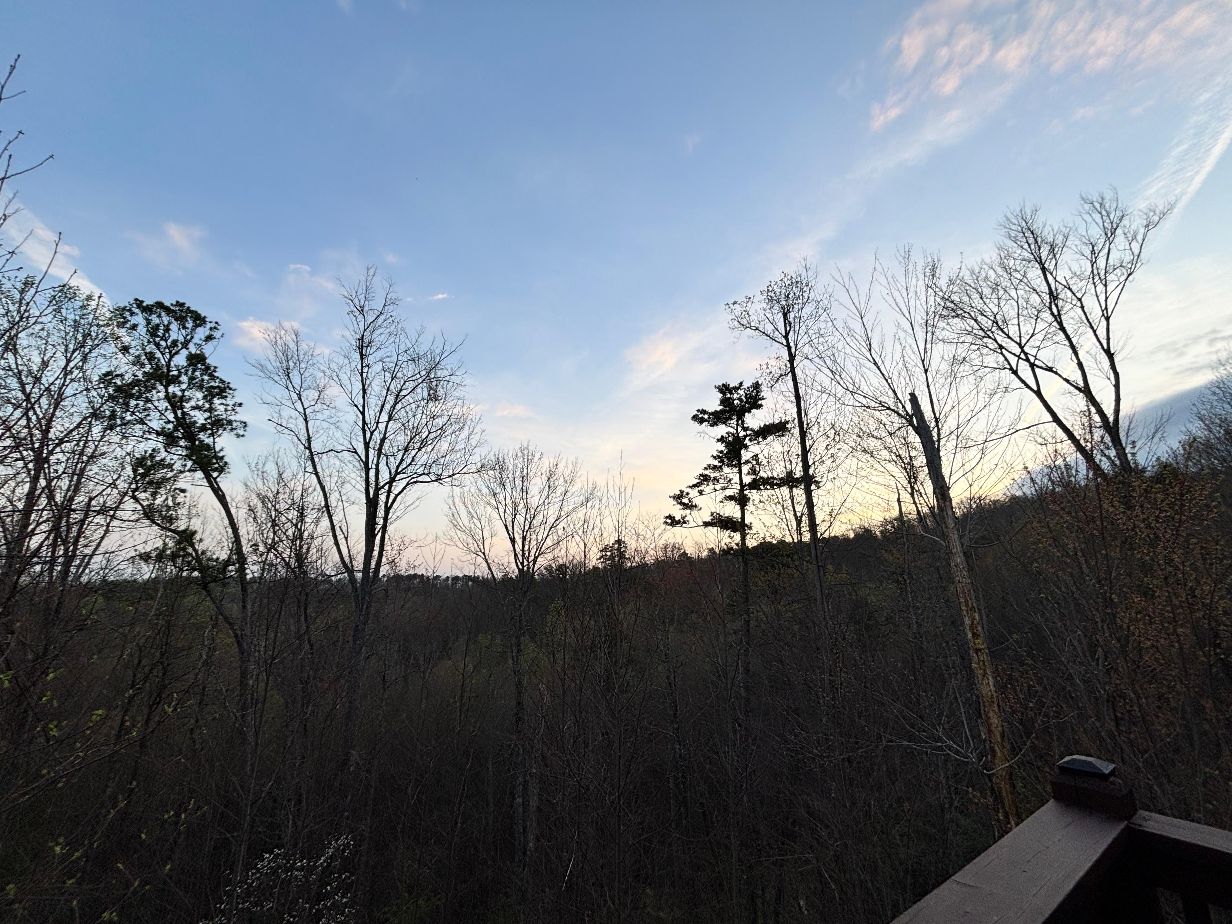 Sunrise on back porch.
