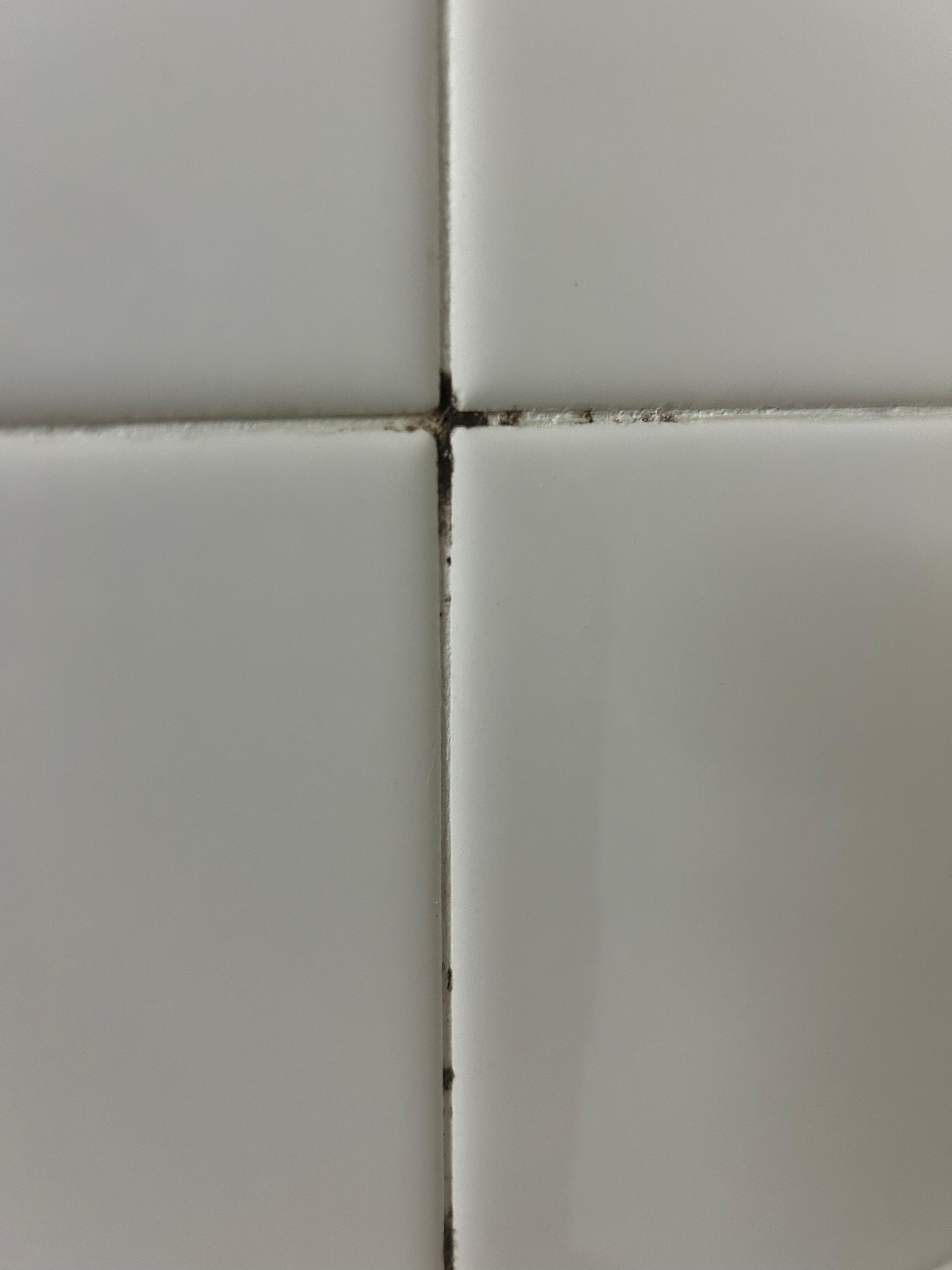 This was the mold in our second room