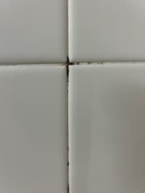 This was the mold in our second room