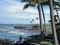 Private black sand beach only a short walk away. We saw turtles here.